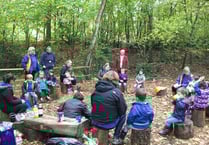 Bears enjoy the great outdoors