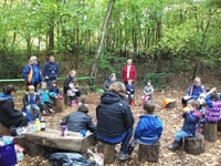 Bears enjoy the great outdoors