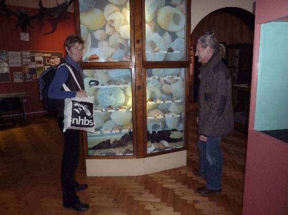 Conchological Society members Mags Cousins and Gordon Collett by the shell arch in Haslemere Museum’s natural history gallery