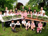 Pupils help In Bloom effort
