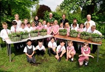 Pupils help In Bloom effort