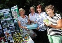 Allen Gallery garden blossoms as town’s latest charity venue