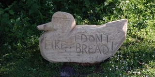 Sign of the times on duck feeding