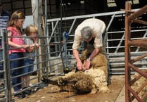 Farm day a roaring success