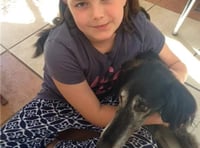 Budding writer Polly in national final