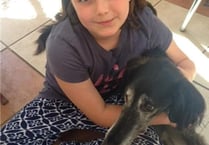 Budding writer Polly in national final
