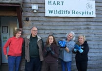 Wildlife rescuers issue SOS