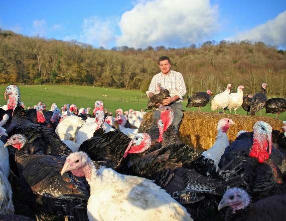 <p>Simon with his free range turkeys on his farm</p>