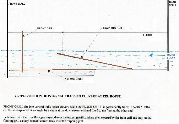 The diagram shows a cross-section of the internal trapping culvert at the eel house