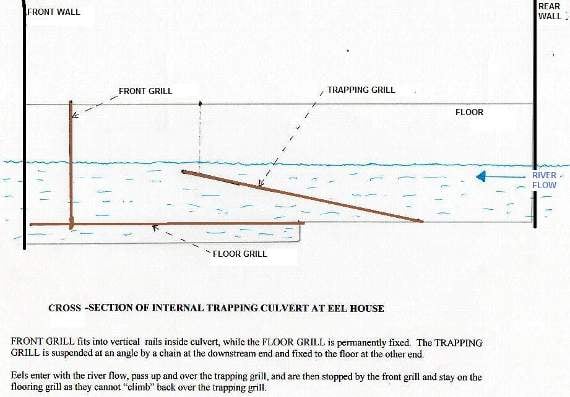 The diagram shows a cross-section of the internal trapping culvert at the eel house