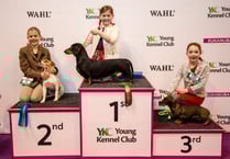 Tegan makes Crufts podium