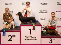 Tegan makes Crufts podium
