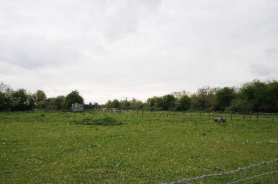 <p>Fields in Lower Weybourne Lane where Bewley Homes is trying to push through plans for 140 new homes</p>