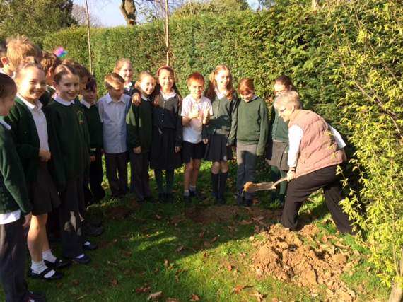 Time to rebury the capsule