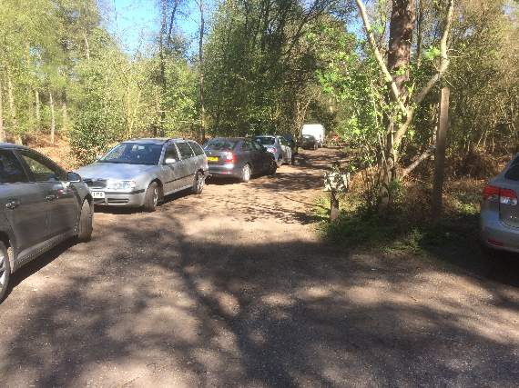 Some of the cars parked at Frensham Little Pond