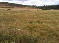Old Thorns drops plans for a second golf course