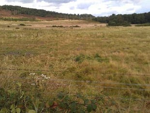Old Thorns drops plans for a second golf course