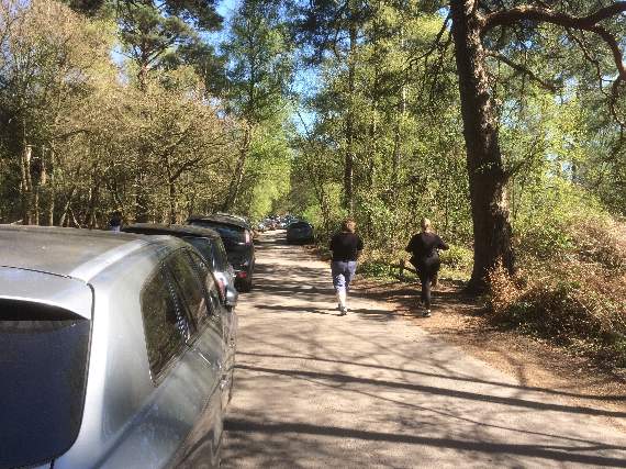 Visitors cause mayhem in narrow country lane