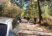 Visitors cause mayhem in narrow country lane