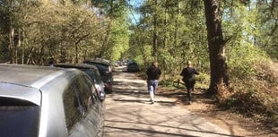 Visitors cause mayhem in narrow country lane