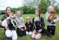 Dog show survives 'ruff' weather threat