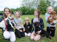 Young owners with their cute canines. Picture order no: AD21-57-17 (altonherald.com)