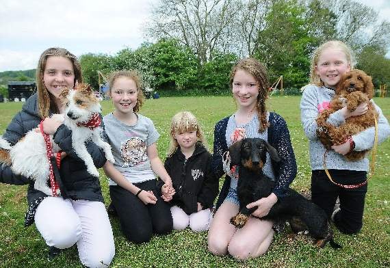 Dog show survives 'ruff' weather threat