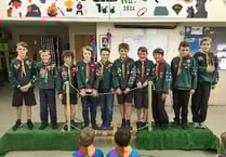 Cubs and Scouts moving on up