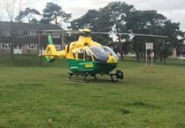 Police probe Budds Lane collision