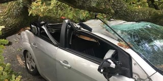 Elderly couple's lucky escape as tree crushes car