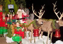 Winter wonderland at Birdworld