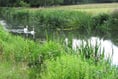 River Wey upgrades to be discussed in Alresford and Alton next week
