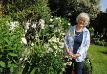 Blooming good show at Wheatley House!