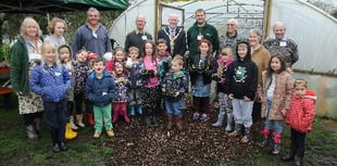 Farnham Town Council to spend £10,000 on new polytunnel for In Bloom