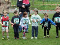 Ready, steady, go for these St John’s bunnies