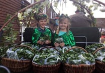 Watercress Festival fun returns to town