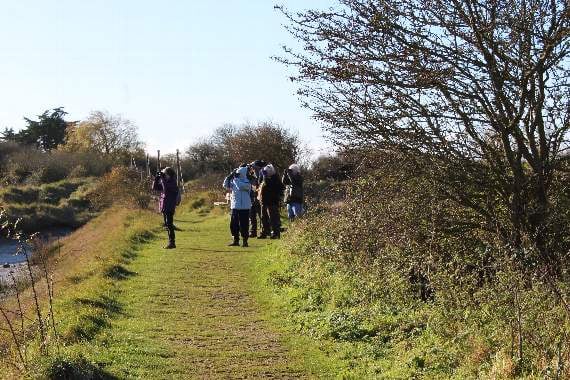 Haslemere Natural History Society members at Pagham Harbour