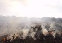 Wildfire in Tilford