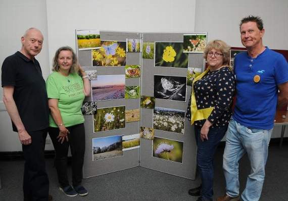 Town council's meadow assessment call