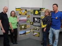 Town council's meadow assessment call