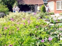 Beautiful gardens were the order of the day in Froyle. Picture order no: AD24-33-18