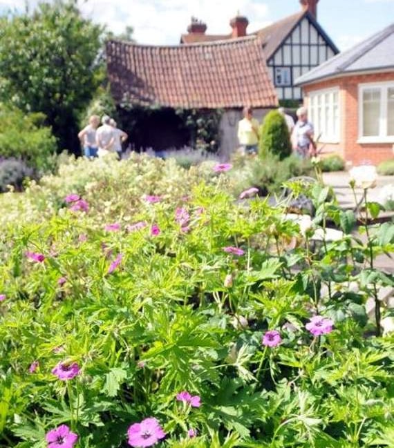 Beautiful gardens were the order of the day in Froyle. Picture order no: AD24-33-18