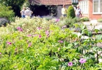 Record turnout as gardens blossom