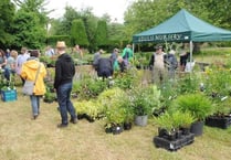 Usual high standards at unusual plant fair