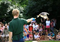 Summer in full flight at Birdworld