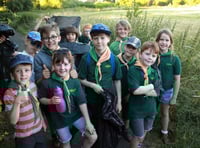 Cubs’ evening in the meadow