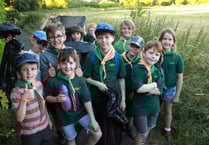 Cubs’ evening in the meadow