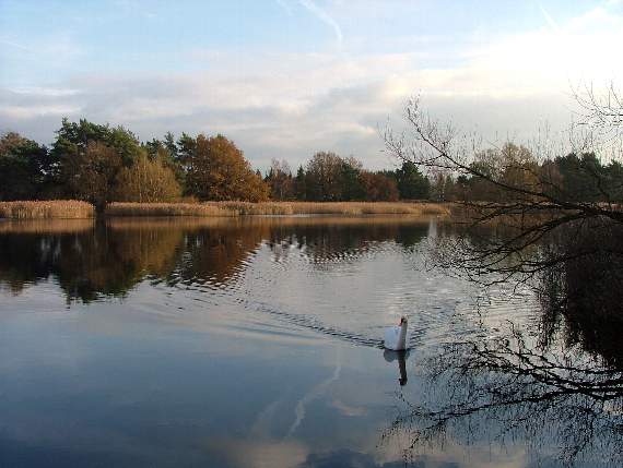 Little Pond (photo courtesy of the National Trust/Matt Cusack)