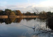 Clampdown at Little Pond