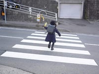 Bus walk lives put ‘at risk’